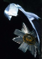 The Earl of Elgin, K.T., 1986 – detail