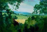 55. Ripe Corn in Gloucestershire