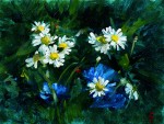 50. Scented Mayweed
